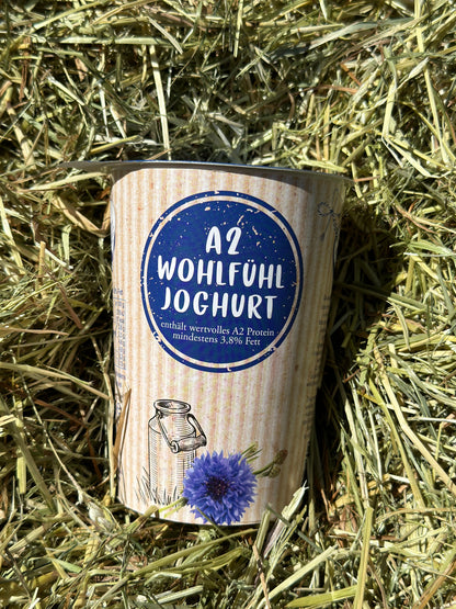 A2 Joghurt Natur 12er Pack